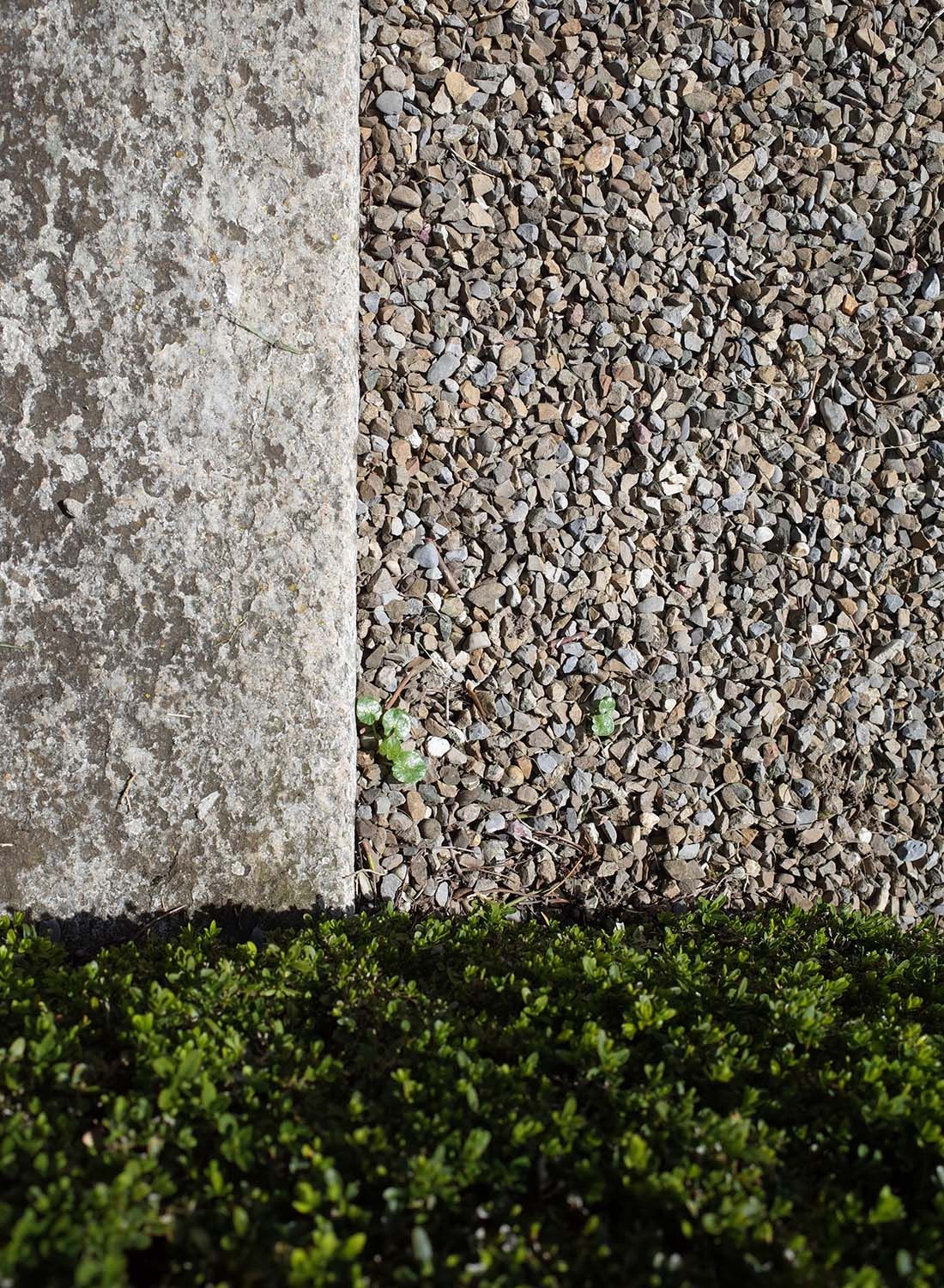 Architects Zug Garden