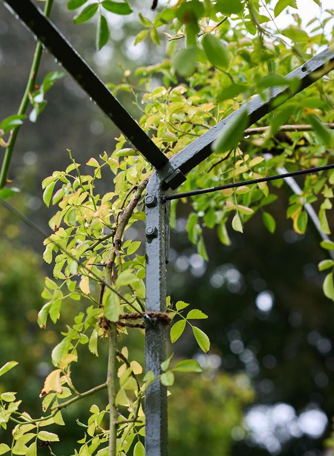 Architects Zug Structural Design